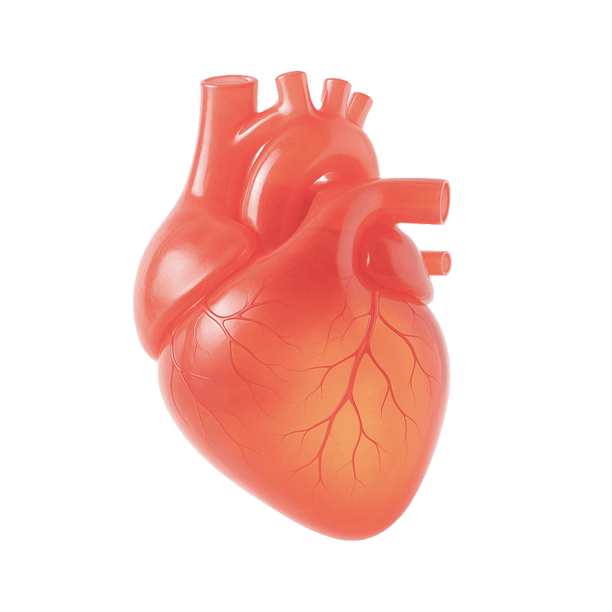 Dr.Noon by Mediwhale — cardiovascular risk from the retina