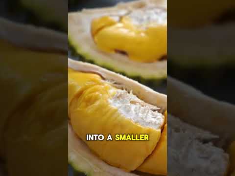 Do old trees really produce better durians?